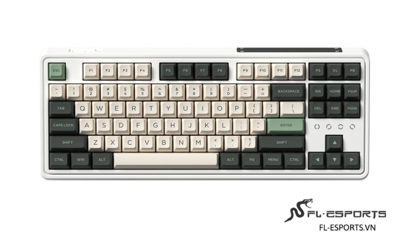 FL-Esports CMK87 SAM Tropical Forest