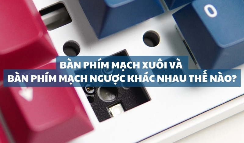 Bàn phím cơ mạch xuôi và bàn phím cơ mạch ngược khác nhau thế nào?