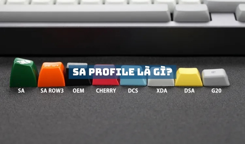 SA Profile là gì?