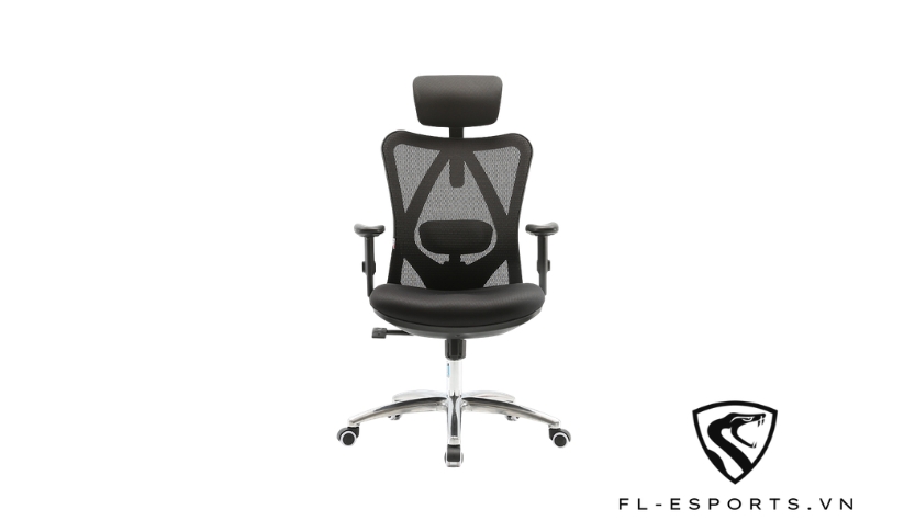Ghế công thái học M18 Ergonomic Chair