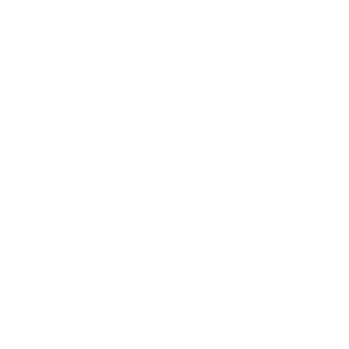 LOGO FL.ESPORTS