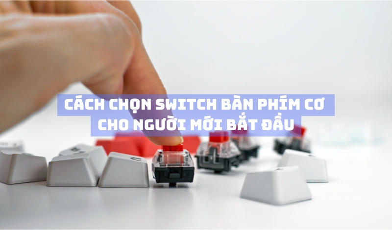 Cách chọn switch bàn phím cơ cho người mới bắt đầu